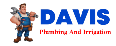 Trusted plumber in TIMEWELL